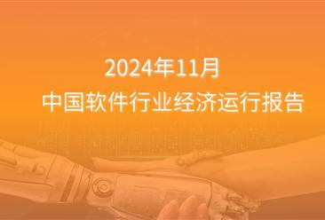 2024年1-11月中国软件行业经济运行报告（附全文）