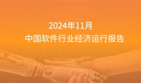 2024年1-11月中国软件行业经济运行报告（附全文）