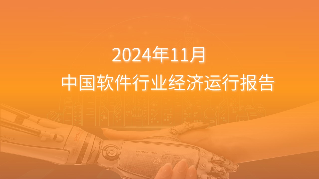 2024年1-11月中國軟件行業經濟運行報告（附全文）