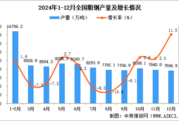 2024年12月全国粗钢产量数据统计分析