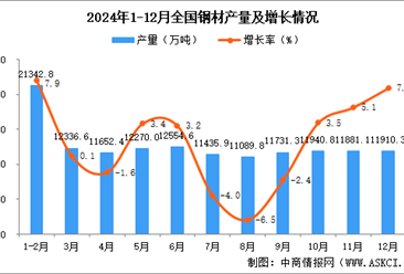 2024年12月全國鋼材產量數據統計分析