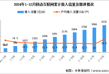 2024年1-12月中国通信业移动互联网及固定互联网分析（图）