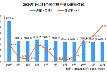 2024年12月全国生铁产量数据统计分析