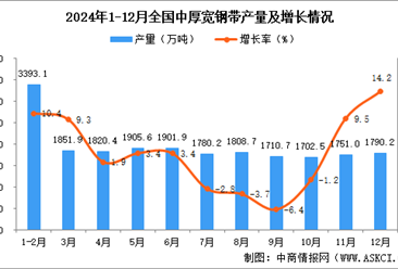 2024年12月全国中厚宽钢带产量数据统计分析