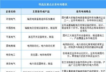 2025年中国特高压线路长度及企业布局情况预测分析（图）