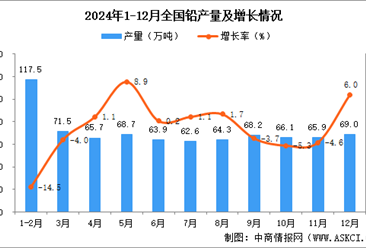 2024年12月全国铅产量数据统计分析