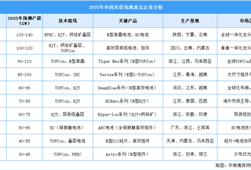 2025年中国光伏电池重点企业对比分析（图）