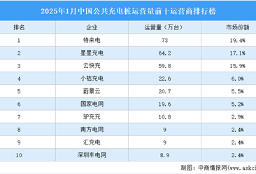 2025年1月中国公共充电桩运营量前十运营商排行榜（附榜单）