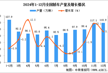 2024年12月全国轿车产量数据统计分析