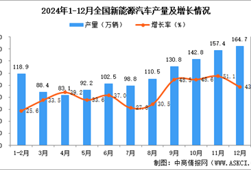 2024年12月全国新能源汽车产量数据统计分析