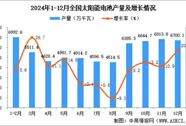 2024年12月全國太陽能電池（光伏電池）產(chǎn)量數(shù)據(jù)統(tǒng)計(jì)分析