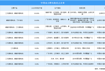 2025年中国动力锂电池重点企业汇总