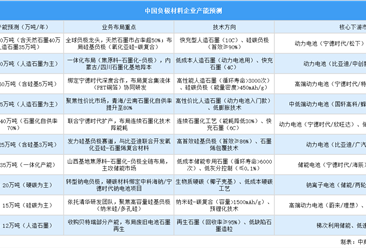 2025年中国负极材料重点企业产能预测（图）