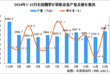 2024年12月全国微型计算机设备产量数据统计分析