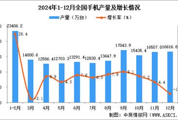 2024年12月全国手机产量数据统计分析