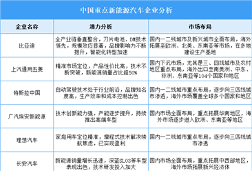 2025年中国新能源汽车企业潜力分析（图）