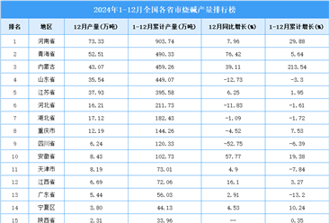 2024年全国各省市纯碱产量排行榜