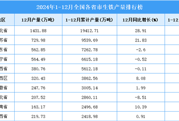 2024年全国各省市生铁产量排行榜