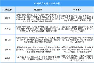 2025年中国云计算企业潜力分析（图）