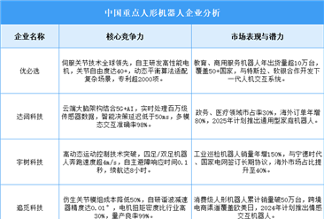 2025年中国人形机器人企业综合竞争力分析（图）