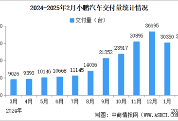 2025年2月小鹏汽车交付量情况：连续4个月交付量突破3万台（图）