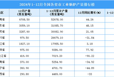 2024年全国各省市工业锅炉产量排行榜