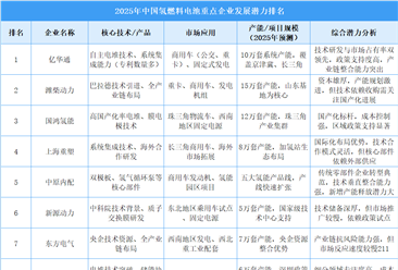 2025年中国氢燃料电池重点企业发展潜力排名（图）