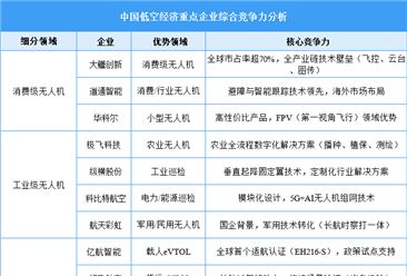 2025年中国低空经济重点企业综合竞争力分析（图）