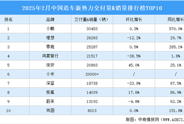 2025年2月中国造车新势力交付量&销量排行榜TOP10（附榜单）