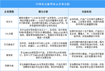 2025年中国新型显示企业潜力分析（图）