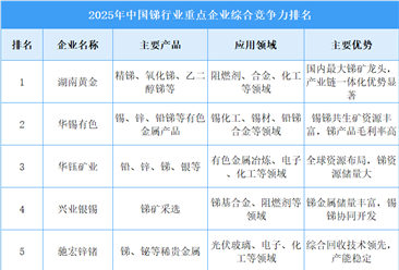 2025年中国锑行业重点企业综合竞争力排名（图）