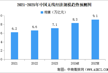 2025年中国无线经济行业市场前景预测研究报告（简版）