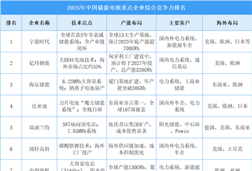 2025年中國儲能電池重點企業(yè)綜合競爭力排名（圖）