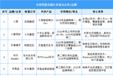 2025年中國智能音箱重點品牌布局情況分析（圖）