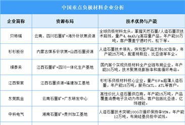 2025年中國負極材料企業(yè)綜合競爭力預測分析（圖）