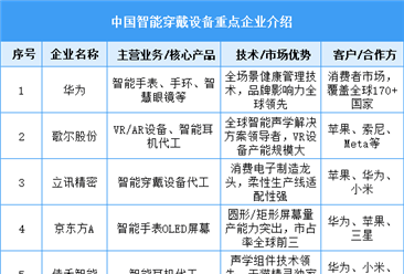 2025年中国智能穿戴设备重点企业竞争力分析（图）