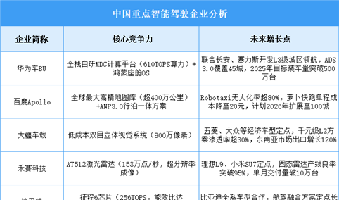 2025年中国智能驾驶企业潜力预测分析（图）