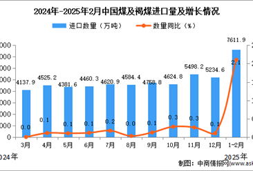 2025年1-2月中国煤及褐煤进口数据统计分析：进口量同比增长2.1%