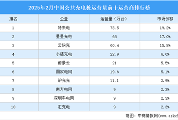 2025年2月中国公共充电桩运营量前十运营商排行榜（附榜单）