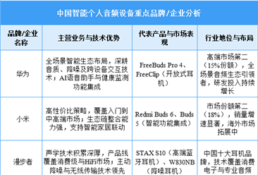2025年中國智能個人音頻設(shè)備重點(diǎn)企業(yè)布局分析（圖）