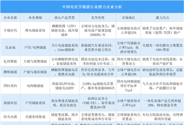 2025年中国电化学储能行业潜力企业分析（图）