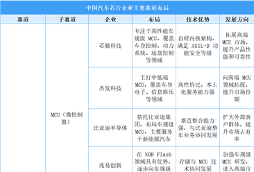 2024年中国汽车芯片企业主要赛道布局分析（图）