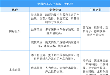 2025年中国汽车芯片企业竞争格局分析：国际巨头主导 本土企业崛起（图）