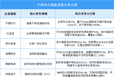 2025年中国储能系统企业综合竞争力预测分析（图）