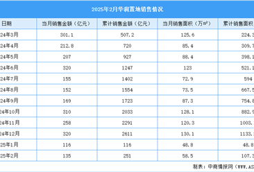 2025年2月华润置地销售简报：销售金额同比增长46.9%（附图表）