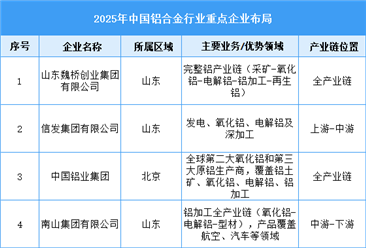 2025年中国铝合金行业重点企业综合排名（图）