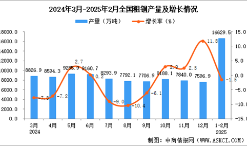 2025年1-2月全国粗钢产量数据统计分析