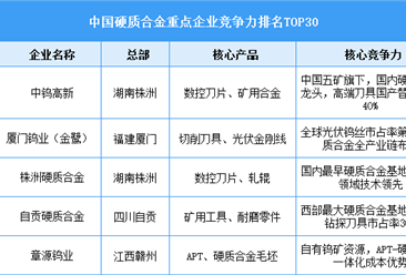 2025年中国硬质合金重点企业综合竞争力排名（附榜单）