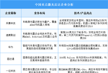 2025年中國(guó)激光雷達(dá)重點(diǎn)企業(yè)業(yè)務(wù)布局預(yù)測(cè)分析（圖）
