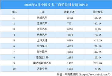2025年3月中国皮卡厂商销量排行榜TOP10（附榜单）